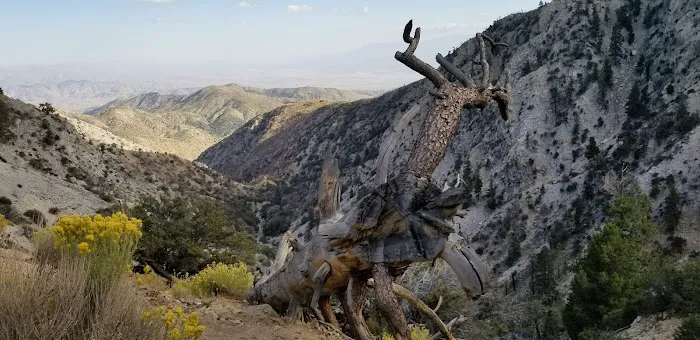 Wild Horse Equestrian Camp Picture 8