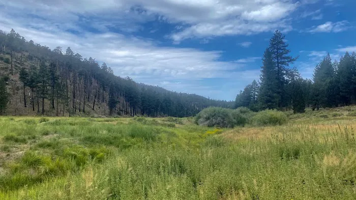 Heart Bar Family Campground Picture 3