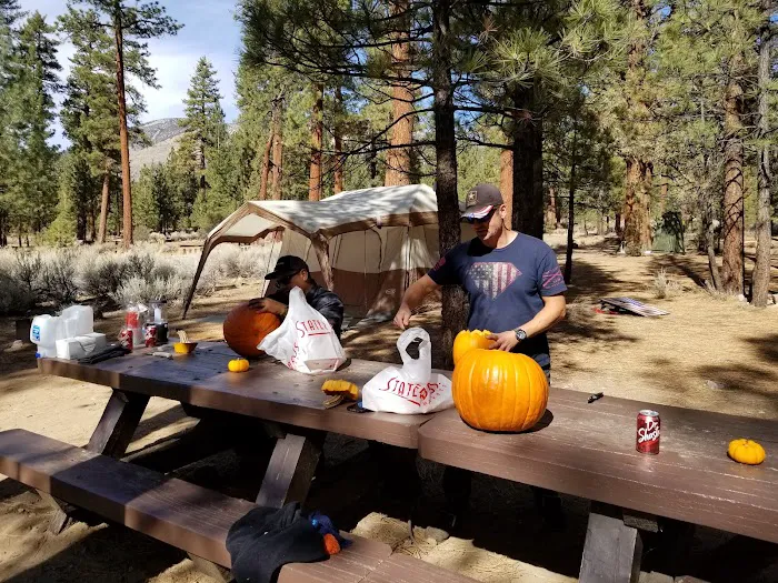 Skyline Group Campground Picture 6