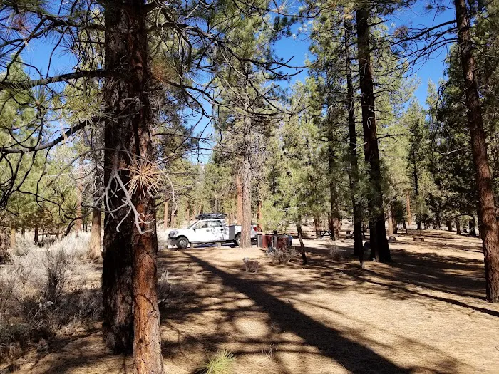Skyline Group Campground Picture 10