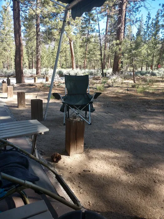 Skyline Group Campground Picture 5