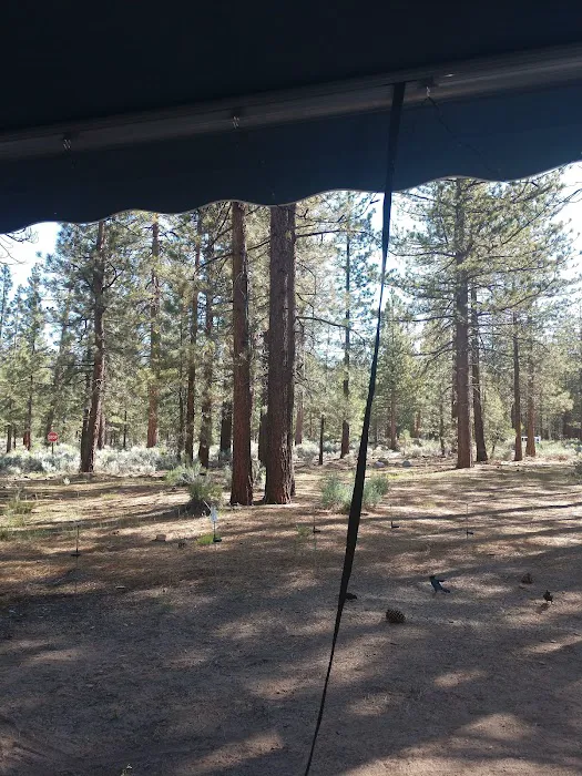 Skyline Group Campground Picture 4