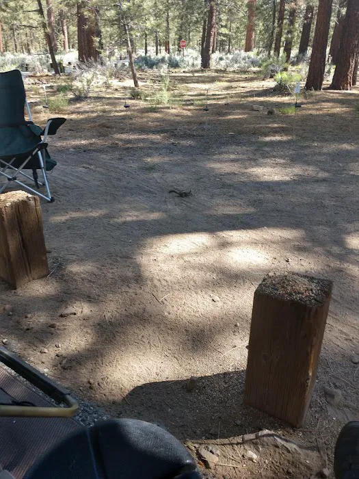 Skyline Group Campground Picture 2