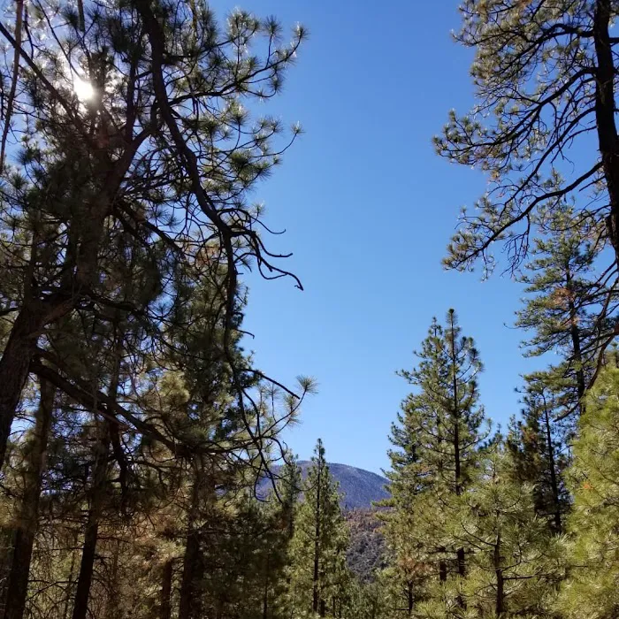 Skyline Group Campground Picture 9