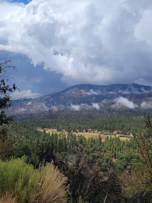 Coon Creek Yellow Post Sites Picture 1