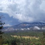 Coon Creek Yellow Post Sites