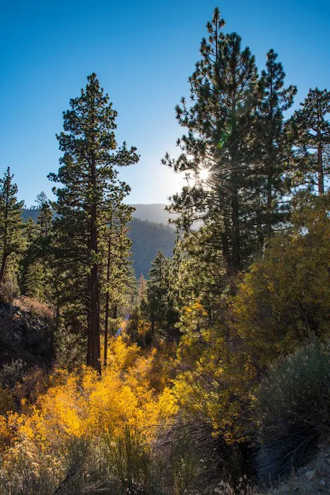 Coon Creek Yellow Post Sites Picture 7