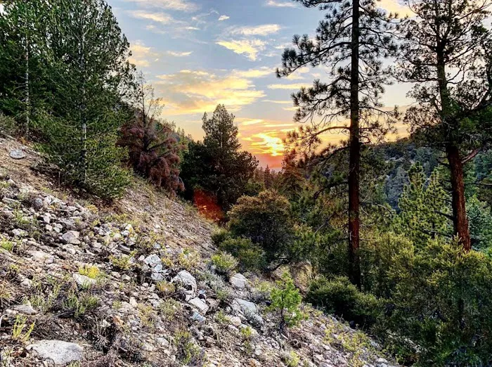 Coon Creek Yellow Post Sites Picture 8