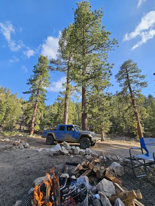 Coon Creek Yellow Post Sites Picture 5