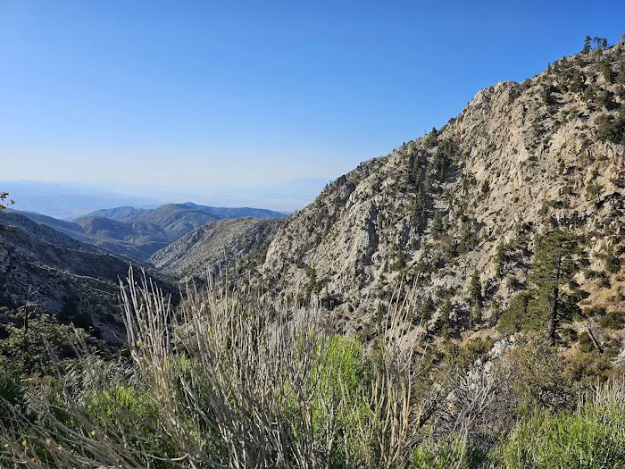 Coon Creek Yellow Post Sites Picture 6