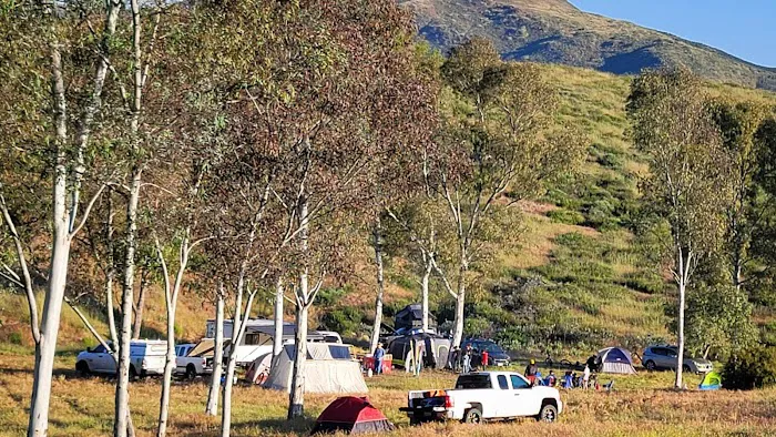 Hidden Falls Preserve and Campground Picture 6