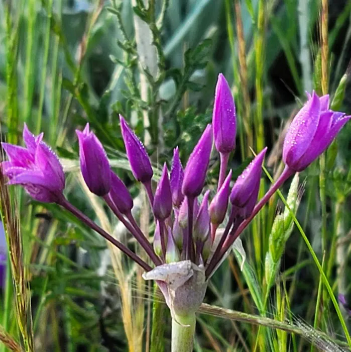 Hidden Falls Preserve and Campground Picture 3
