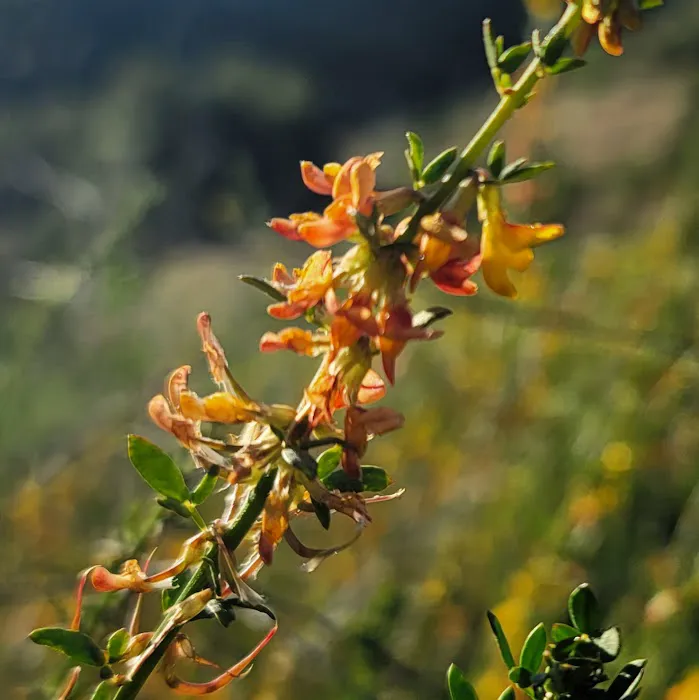 Hidden Falls Preserve and Campground Picture 8
