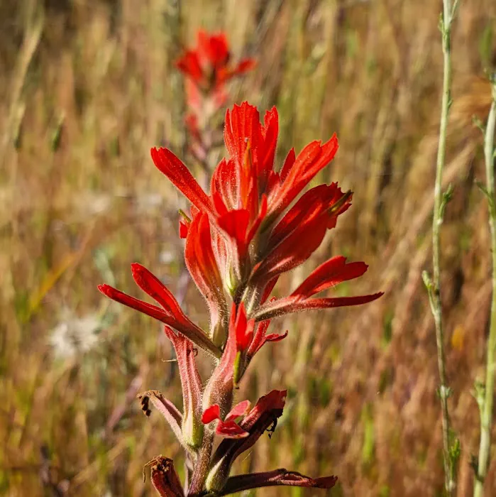 Hidden Falls Preserve and Campground Picture 9