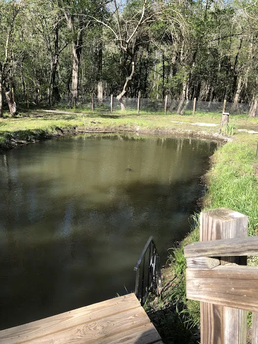 Second Loop Mobile Park LLC Picture 8