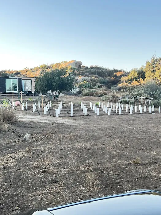 Shalom Eretz Picture 1