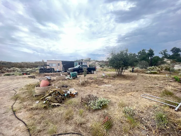 Shalom Eretz Picture 4