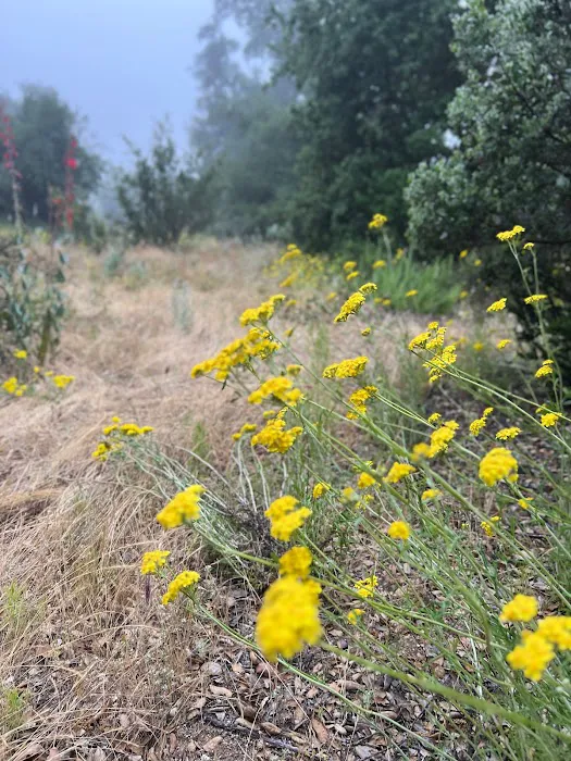 Shalom Eretz Picture 10