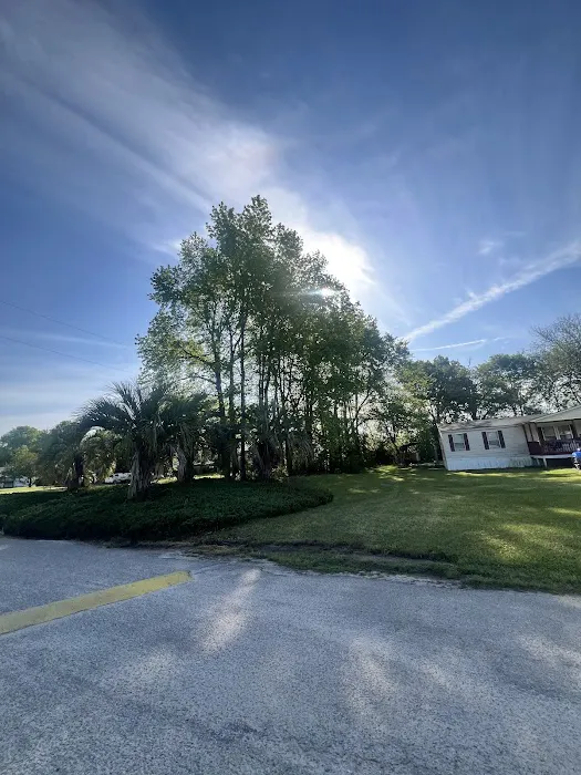 Spring Branch Mobile Home Park Picture 4