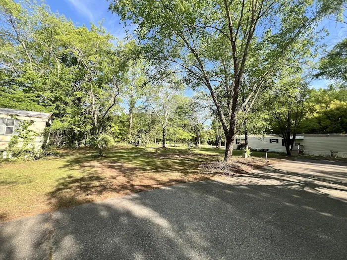 Spring Branch Mobile Home Park Picture 7