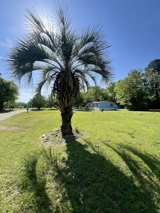 Spring Branch Mobile Home Park Picture 2