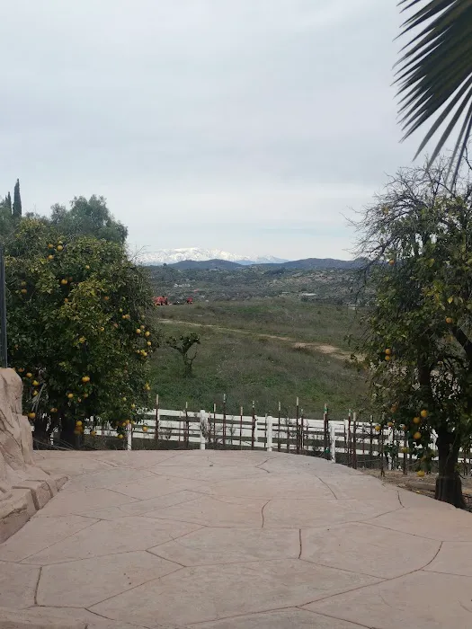 Pete's Camp El Paraiso Picture 4