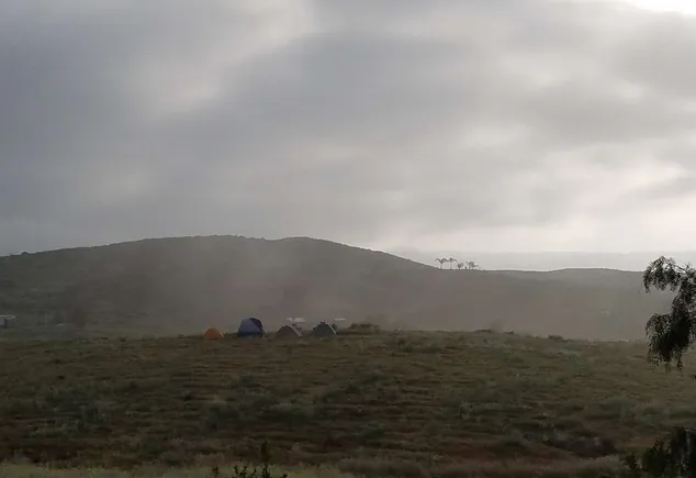 Bierbaum Pepper Farm Picture 9