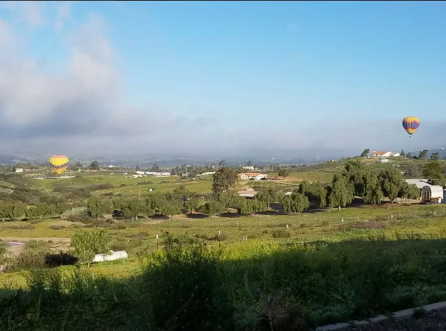 Bierbaum Pepper Farm Picture 6