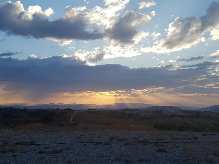 Bierbaum Pepper Farm Picture 4