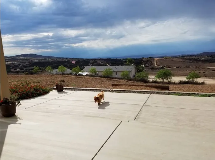 Bierbaum Pepper Farm Picture 10