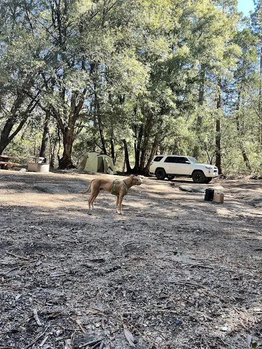 Stone Creek Yellow Post Sites Picture 6