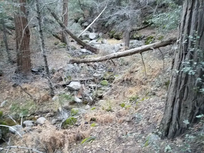 Stone Creek Yellow Post Sites Picture 7