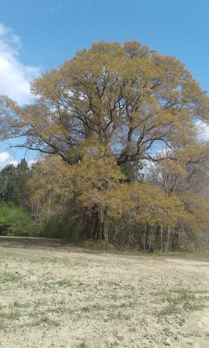 Martinfield Plantation Community Picture 2