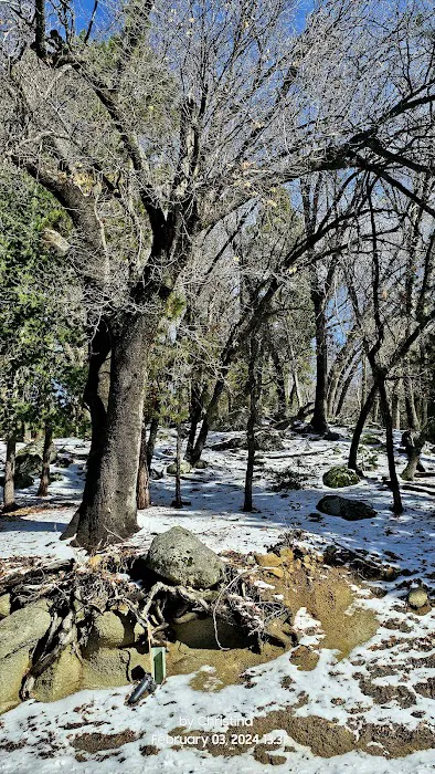 Lawler Lodge Picture 9