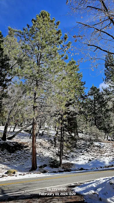 Lawler Lodge Picture 8