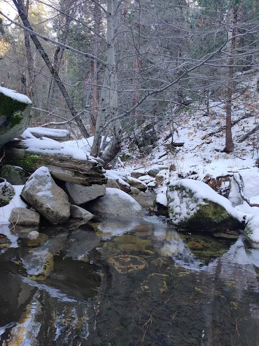 Lawler Lodge Picture 2