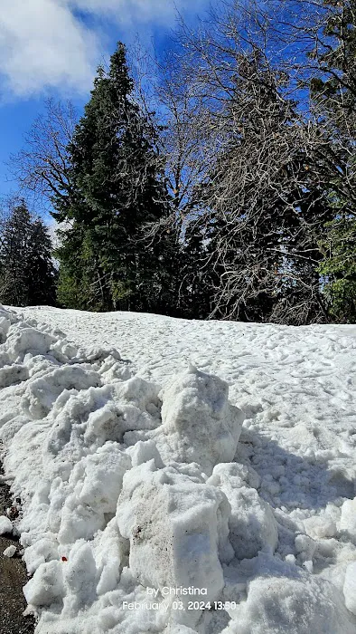 Lawler Lodge Picture 6