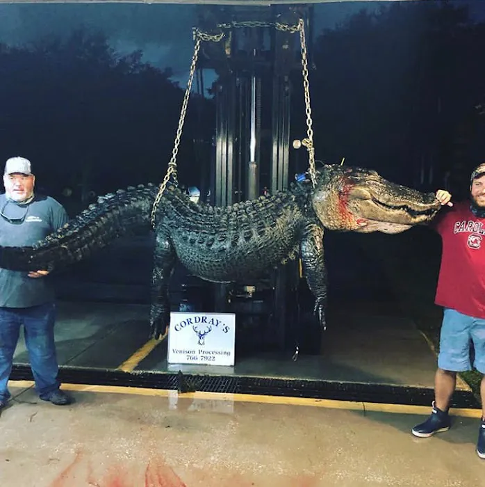 Turkey Ridge Mobile Home Community Picture 10