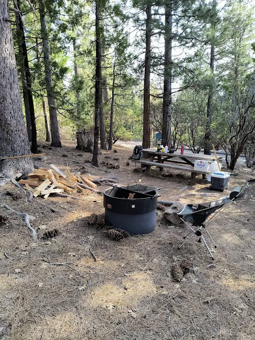 Stone Creek Campground Picture 2