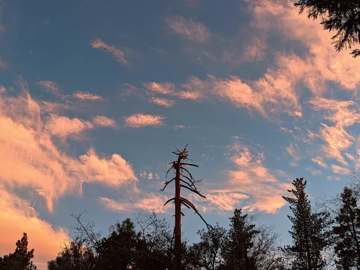 Stone Creek Campground Picture 7