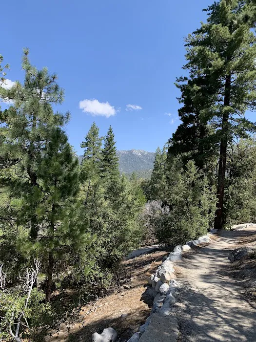 Stone Creek Campground Picture 3