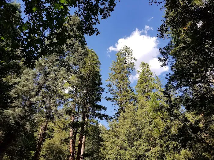 Dark Canyon Campground Picture 4