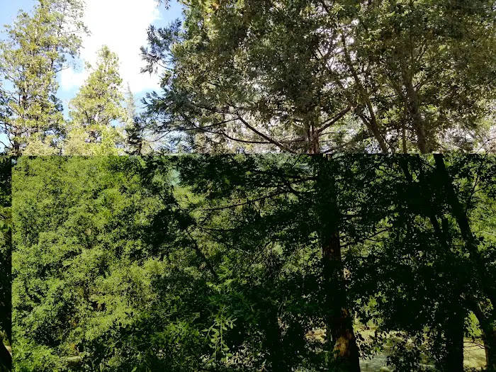 Dark Canyon Campground Picture 1