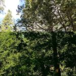 Dark Canyon Campground