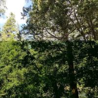 Dark Canyon Campground ico