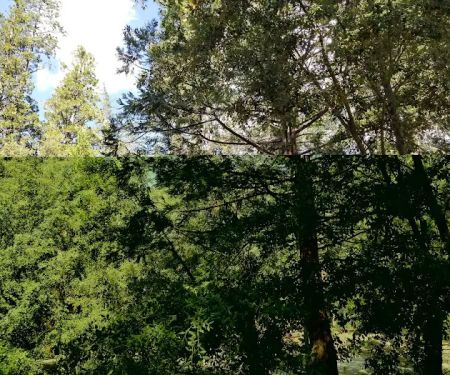 Dark Canyon Campground