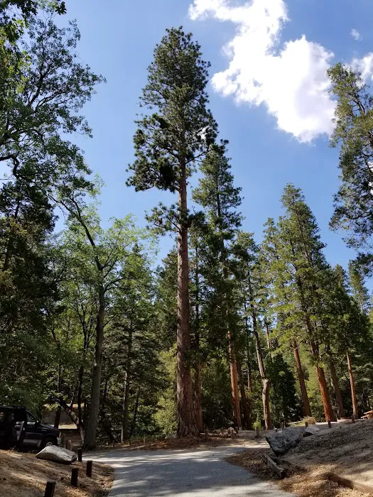 Dark Canyon Campground Picture 2