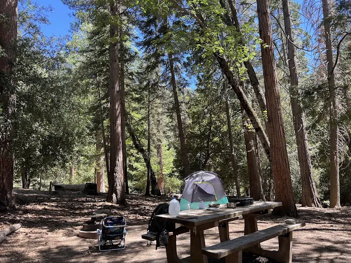 Dark Canyon Campground Picture 3