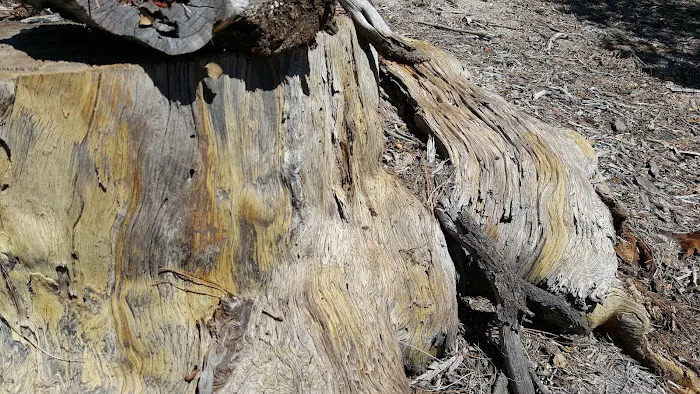 Fern Basin Campground Picture 2