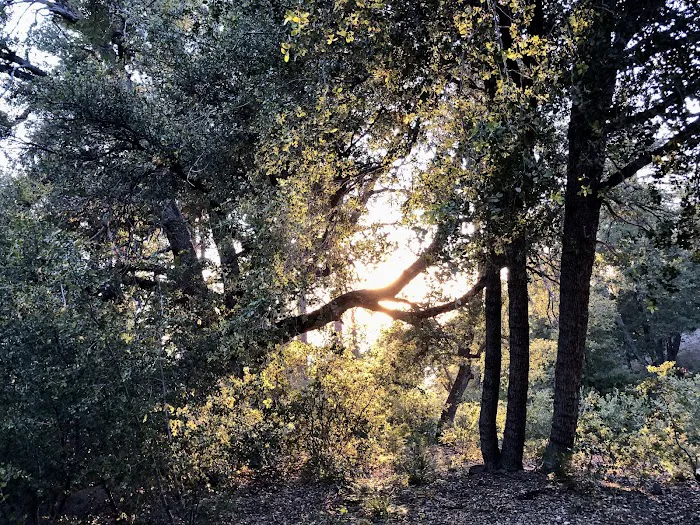 Fern Basin Campground Picture 7